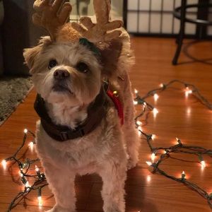 Meet your Posher, Maria